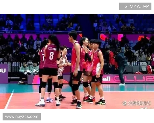 独家解读杭州排球队实力对比及未来发展潜力分析
