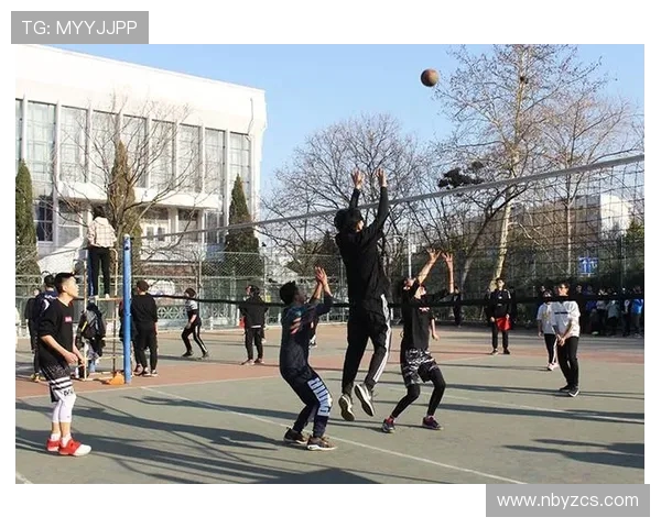 排球新手必看：轻松掌握节奏与技巧的入门指南